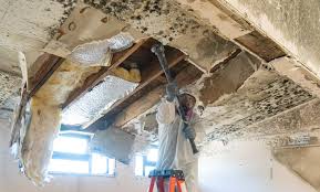 Best Commercial Mold Inspection  in Eagle Point, OR